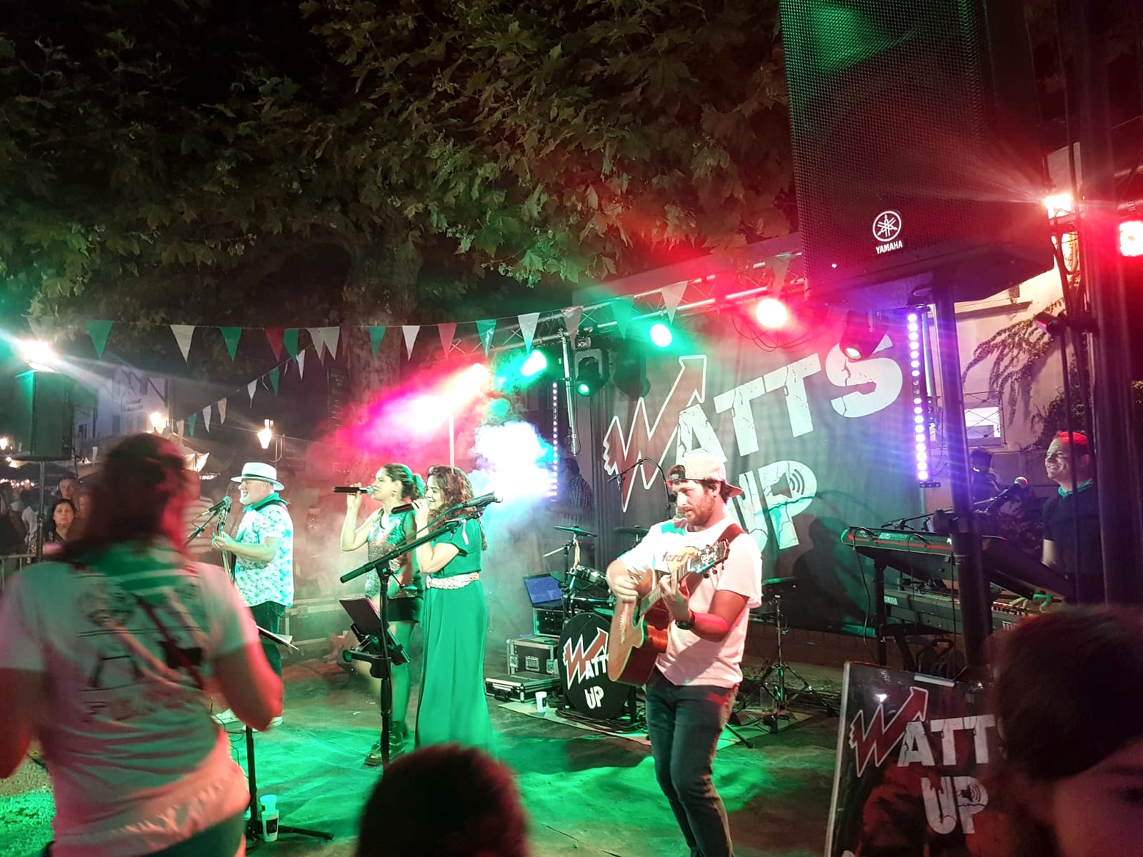 Watts Up sur scène lors d'une fête de village, lumières et public